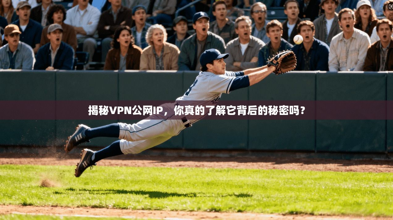 揭秘VPN公网IP，你真的了解它背后的秘密吗？