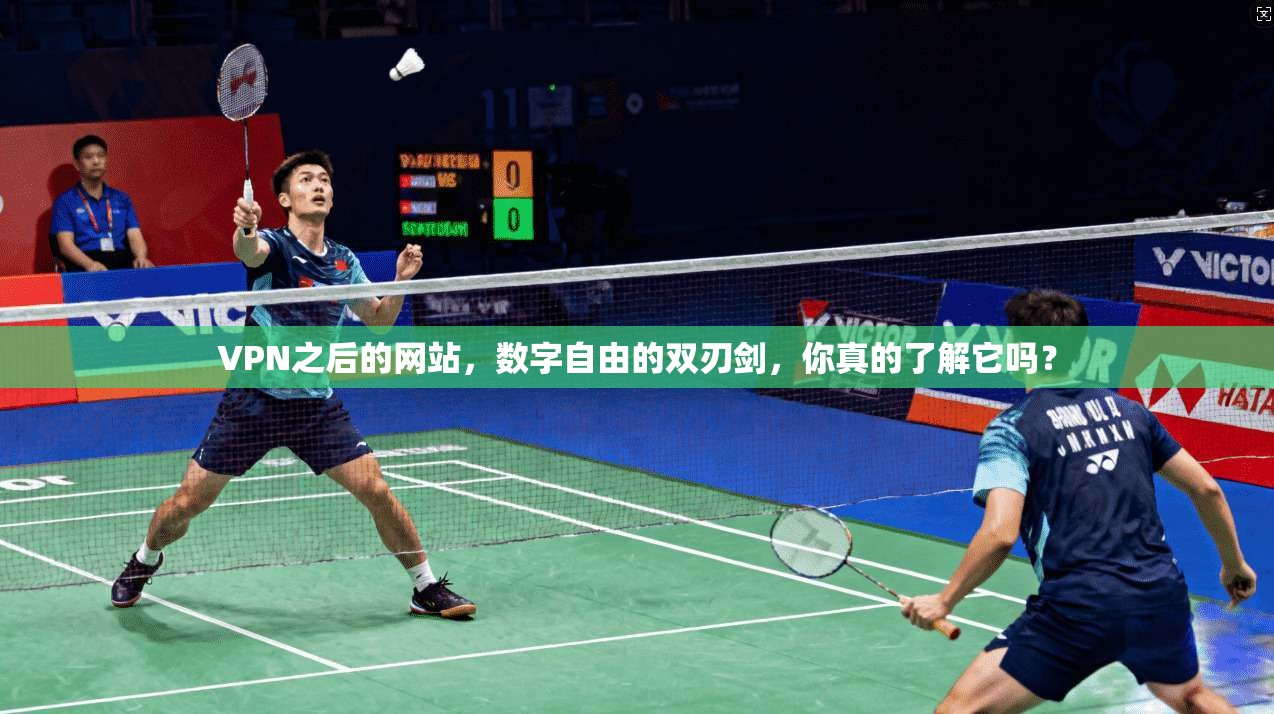 VPN之后的网站，数字自由的双刃剑，你真的了解它吗？