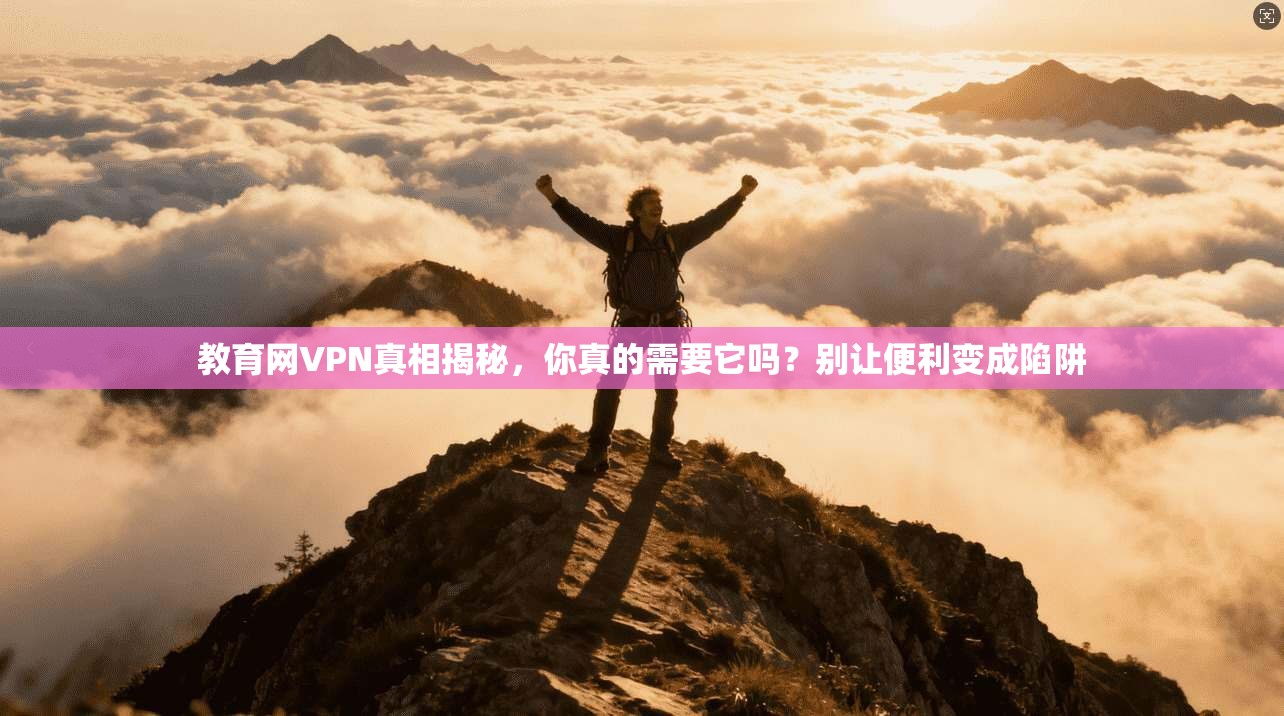 教育网VPN真相揭秘，你真的需要它吗？别让便利变成陷阱