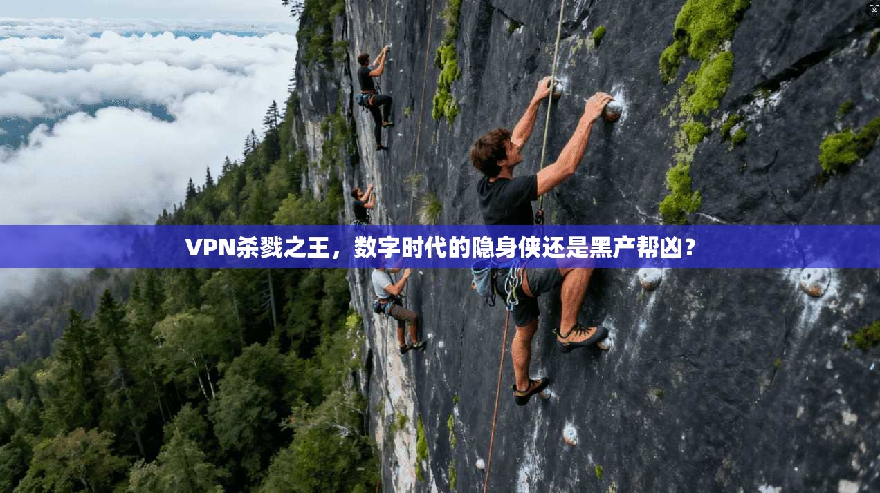 VPN杀戮之王，数字时代的隐身侠还是黑产帮凶？