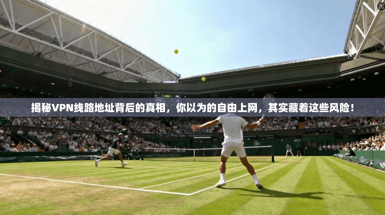 揭秘VPN线路地址背后的真相，你以为的自由上网，其实藏着这些风险！