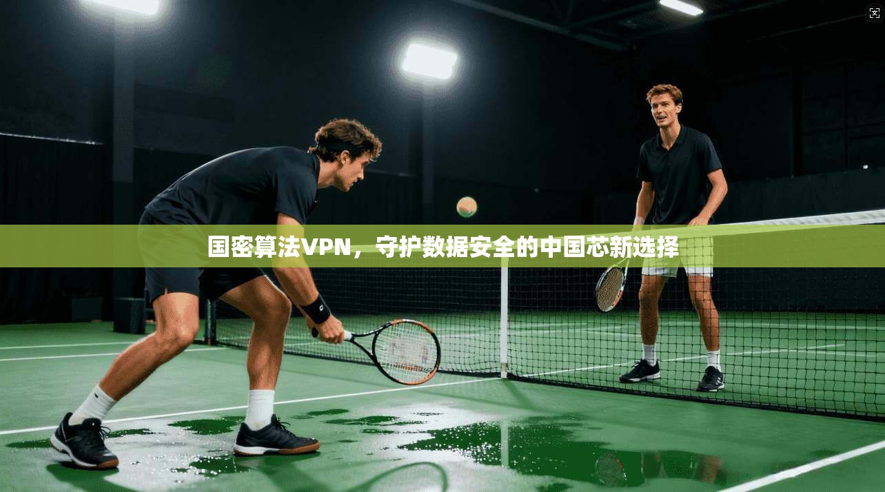 国密算法VPN,守护数据安全的中国芯新选择 国密算法VPN,守护数据安全的中国芯新选择