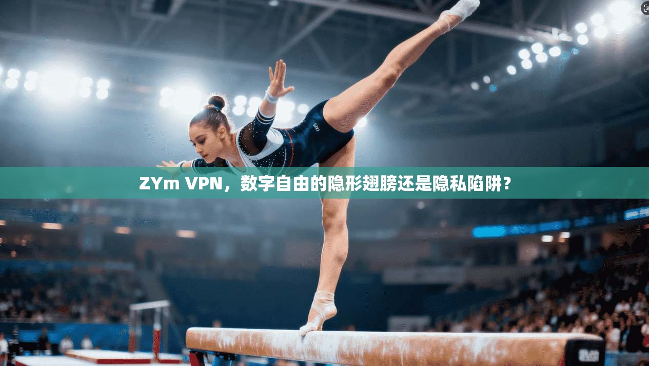 ZYm VPN,数字自由的隐形翅膀还是隐私陷阱?