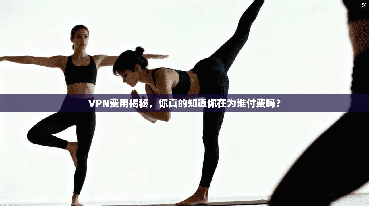 VPN费用揭秘，你真的知道你在为谁付费吗？