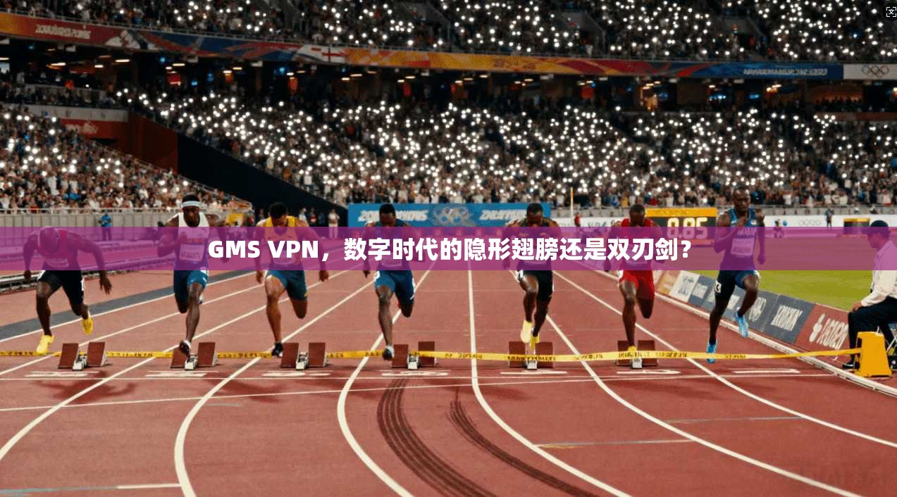 GMS VPN,数字时代的隐形翅膀还是双刃剑?