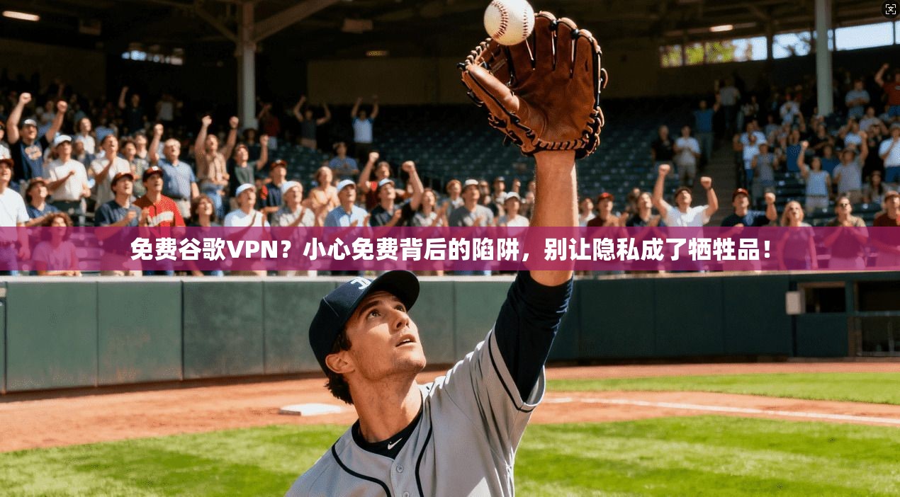 免费谷歌VPN?小心免费背后的陷阱,别让隐私成了牺牲品!