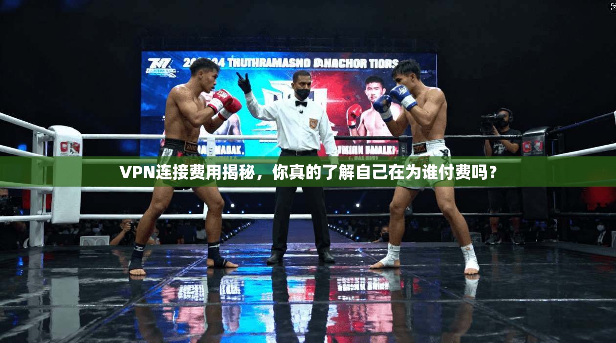 VPN连接费用揭秘，你真的了解自己在为谁付费吗？