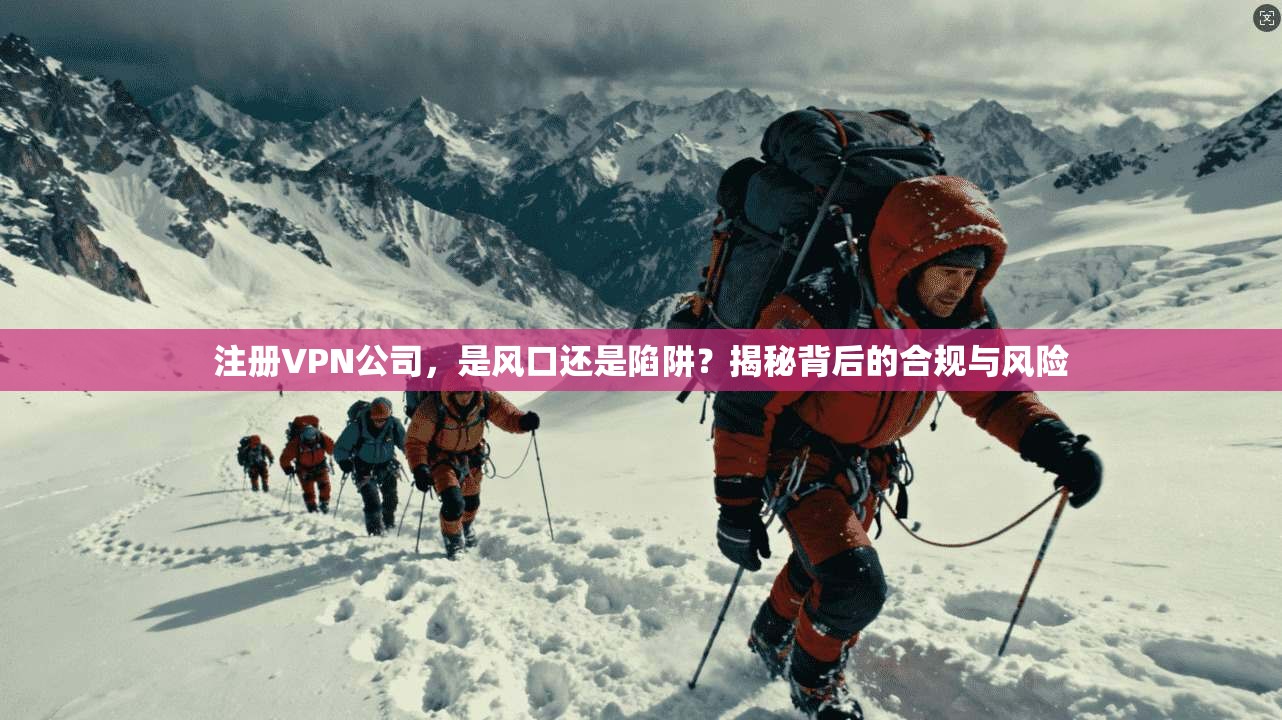 注册VPN公司，是风口还是陷阱？揭秘背后的合规与风险