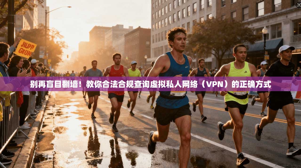 别再盲目翻墙！教你合法合规查询虚拟私人网络（VPN）的正确方式