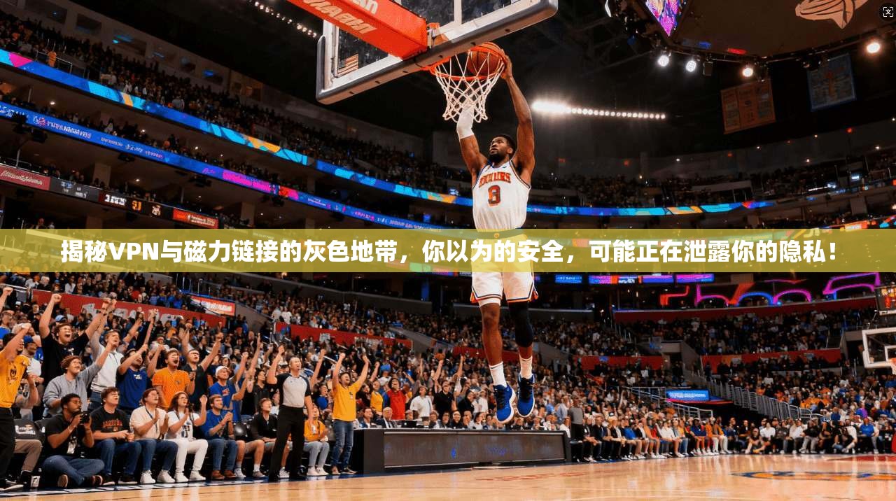 揭秘VPN与磁力链接的灰色地带，你以为的安全，可能正在泄露你的隐私！