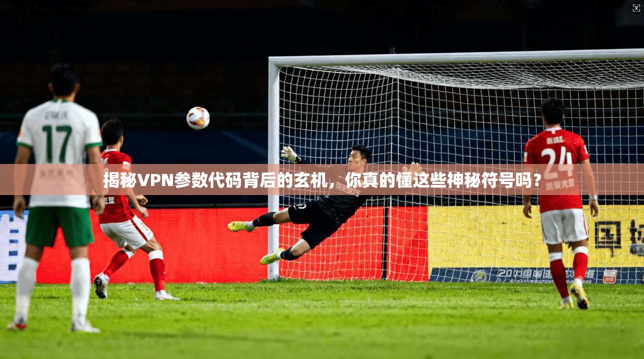 揭秘VPN参数代码背后的玄机，你真的懂这些神秘符号吗？