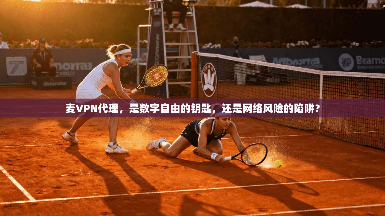麦VPN代理,是数字自由的钥匙,还是网络风险的陷阱?