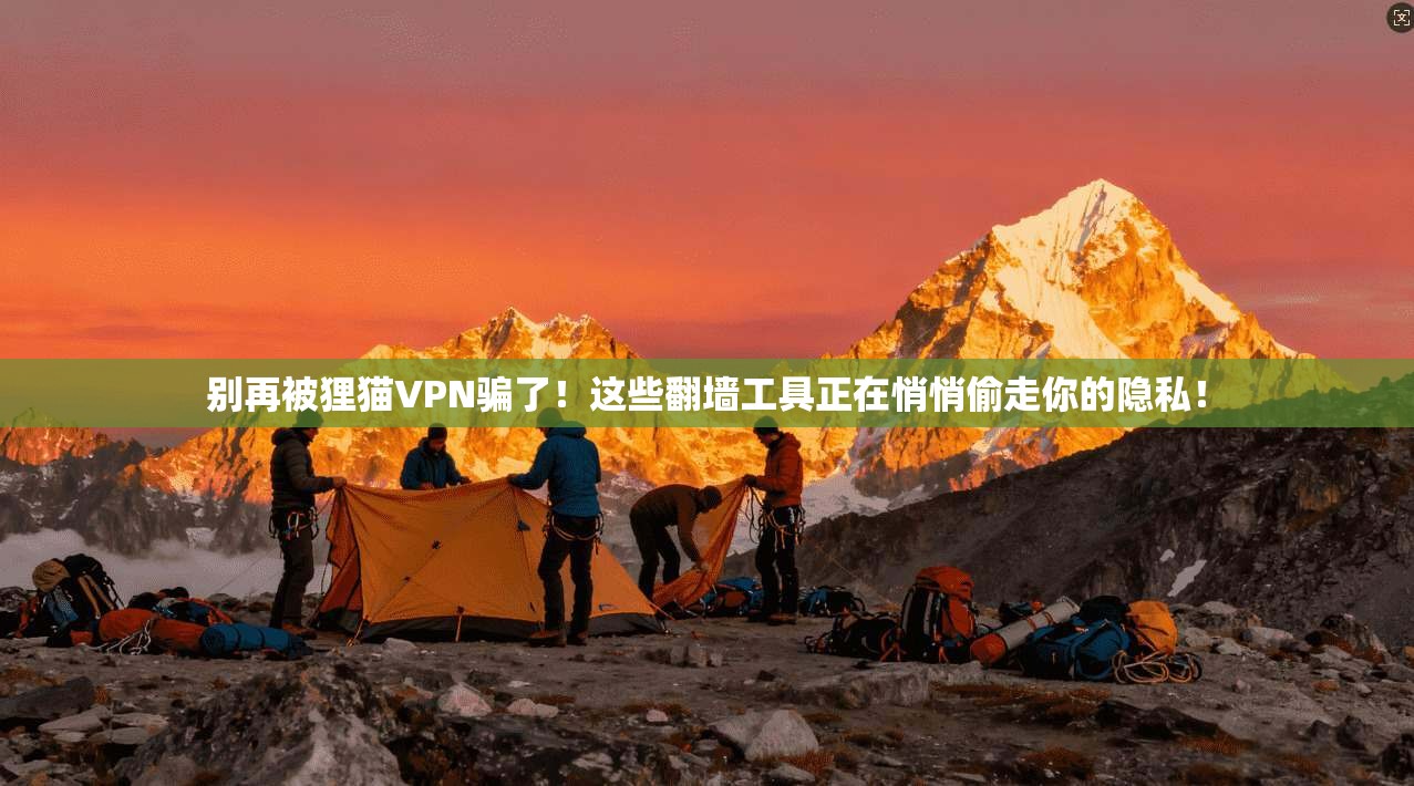 别再被狸猫VPN骗了！这些翻墙工具正在悄悄偷走你的隐私！