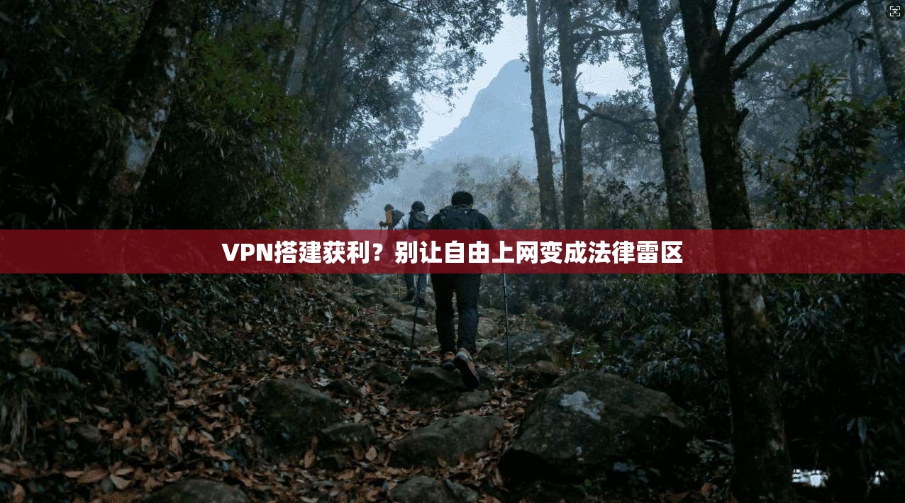 VPN搭建获利？别让自由上网变成法律雷区