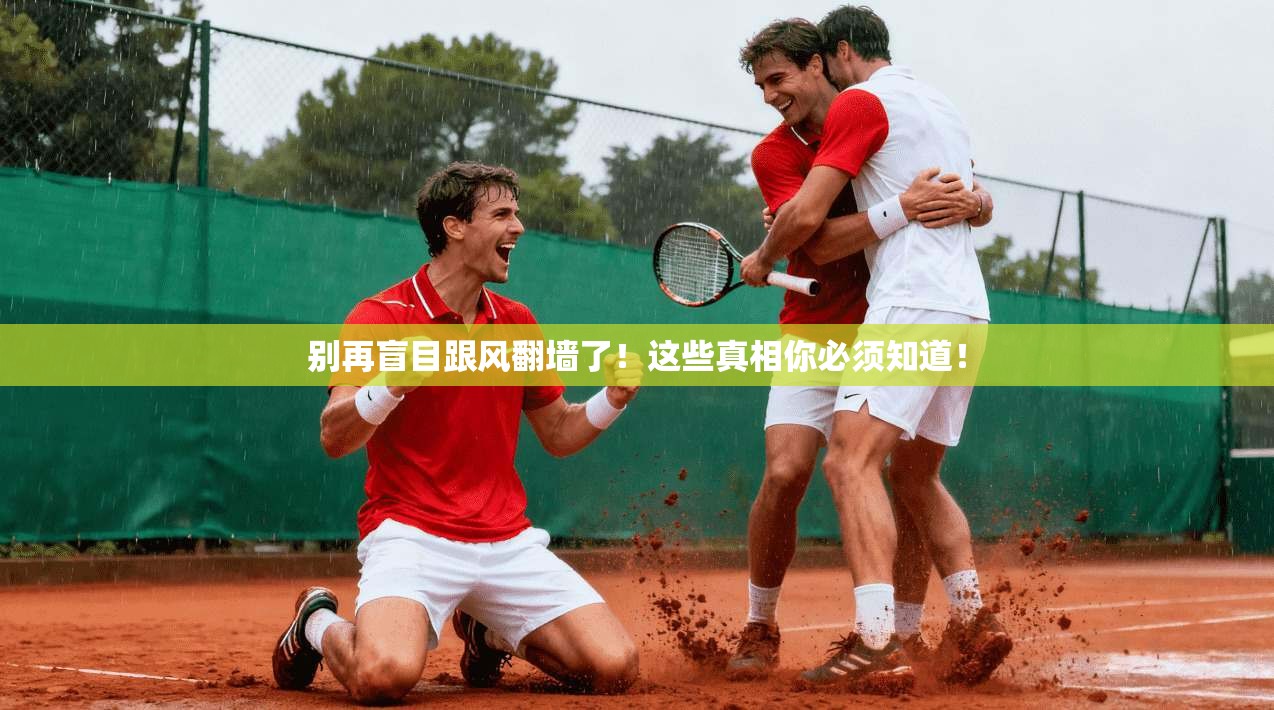 别再盲目跟风翻墙了！这些真相你必须知道！