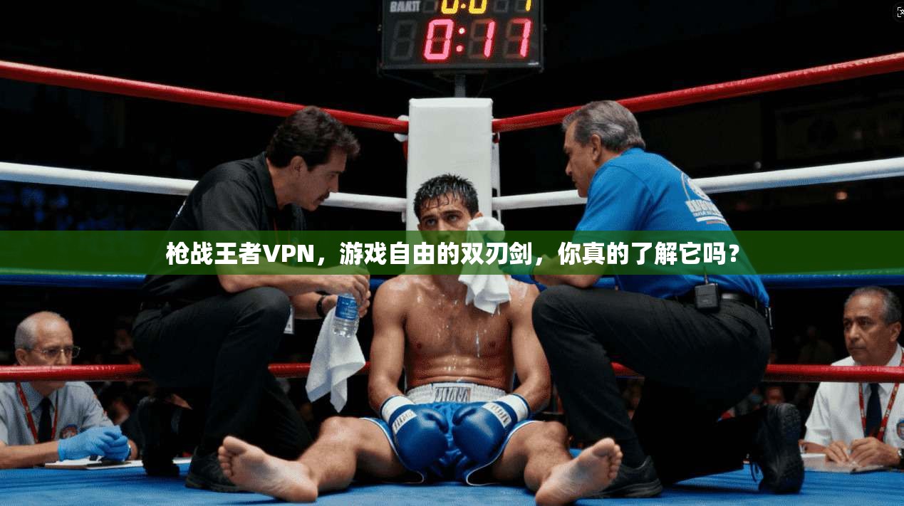 枪战王者VPN，游戏自由的双刃剑，你真的了解它吗？