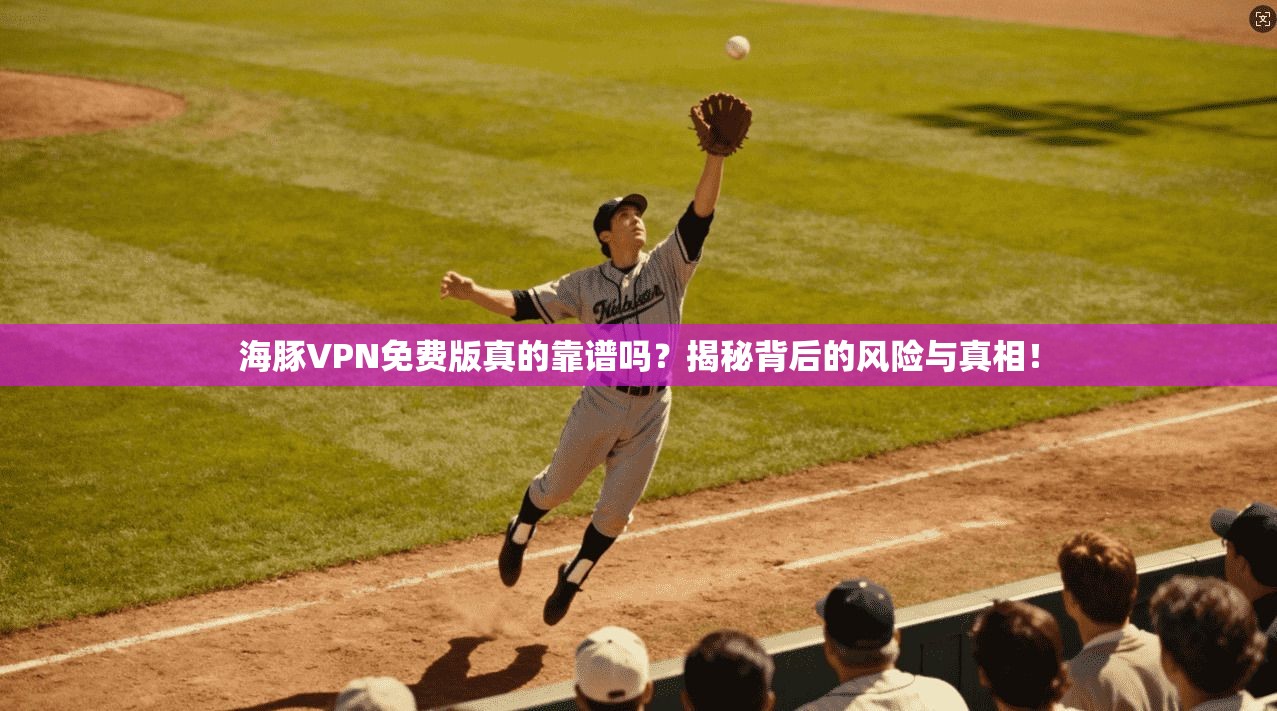 海豚VPN免费版真的靠谱吗？揭秘背后的风险与真相！