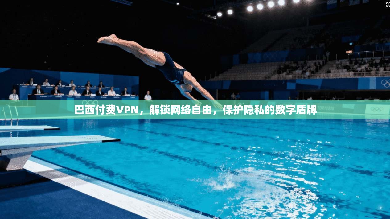 巴西付费VPN，解锁网络自由，保护隐私的数字盾牌