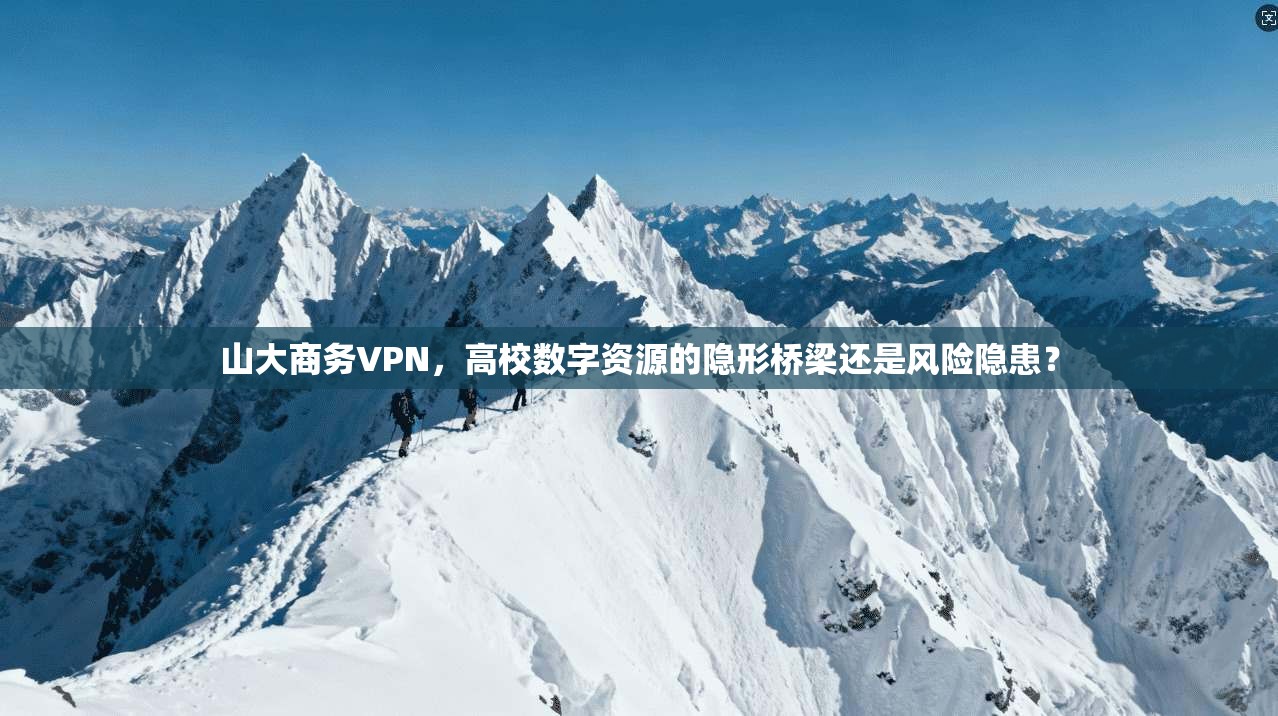 山大商务VPN，高校数字资源的隐形桥梁还是风险隐患？