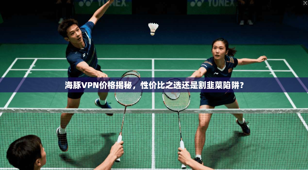 海豚VPN价格揭秘，性价比之选还是割韭菜陷阱？