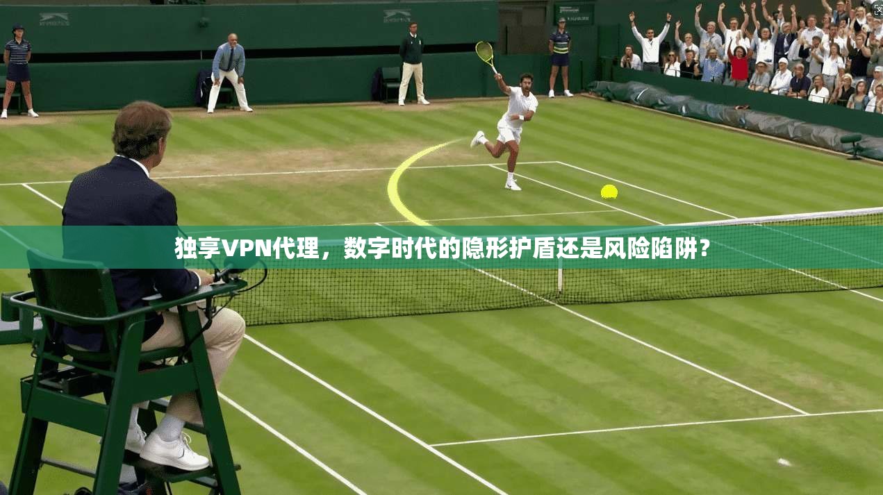 独享VPN代理，数字时代的隐形护盾还是风险陷阱？