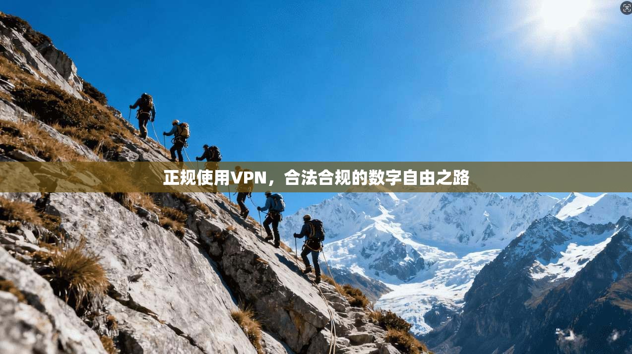 正规使用VPN，合法合规的数字自由之路