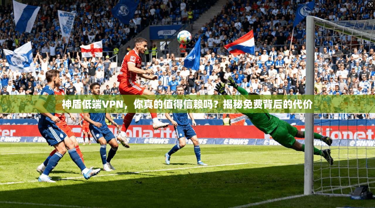 神盾低端VPN，你真的值得信赖吗？揭秘免费背后的代价