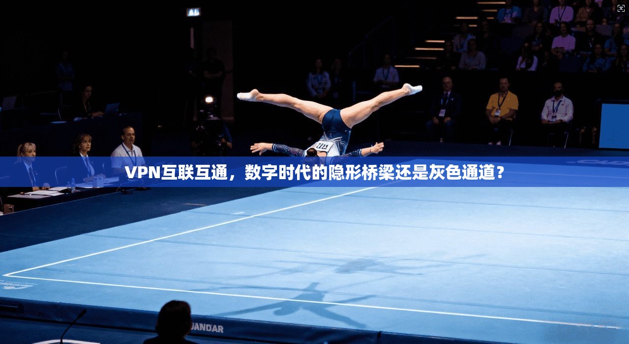VPN互联互通，数字时代的隐形桥梁还是灰色通道？
