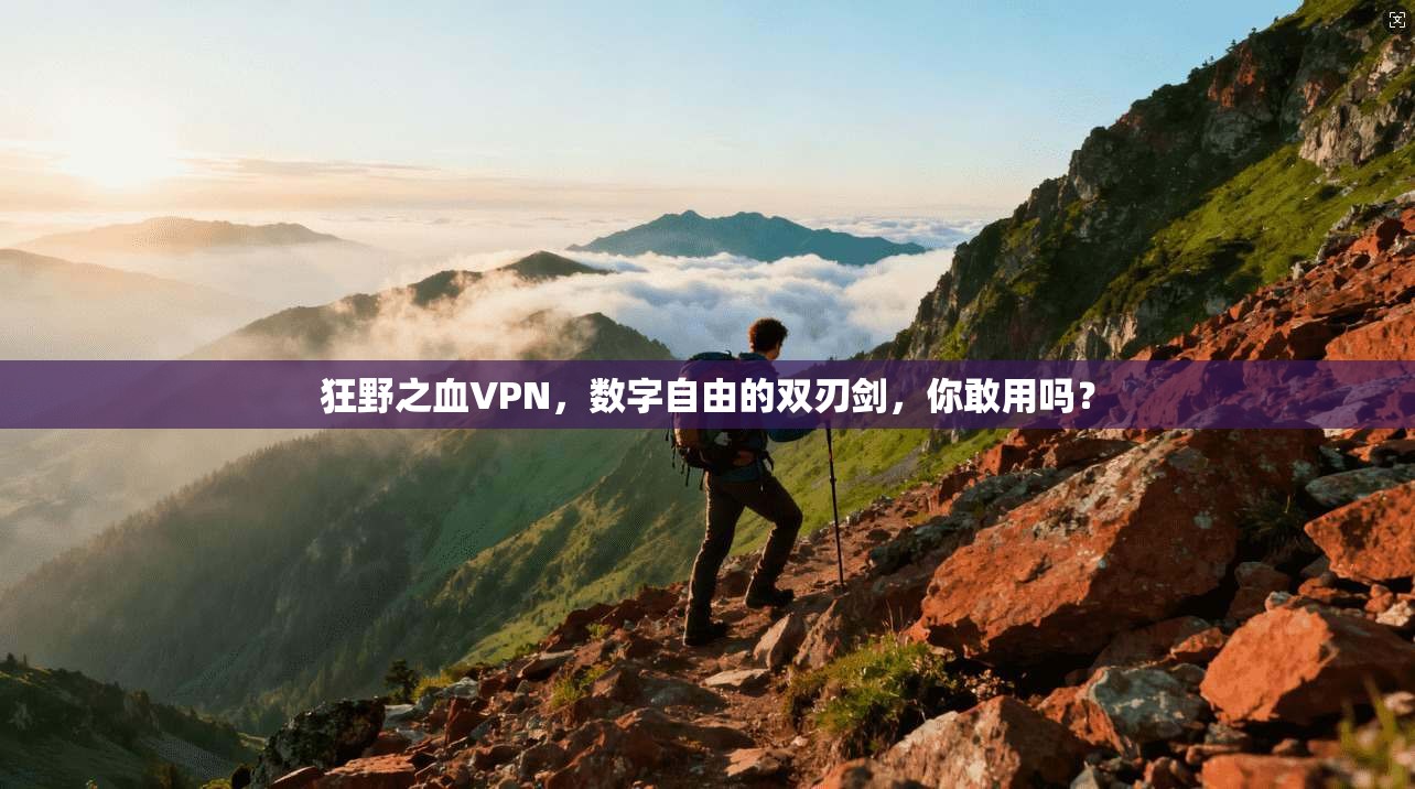 狂野之血VPN，数字自由的双刃剑，你敢用吗？