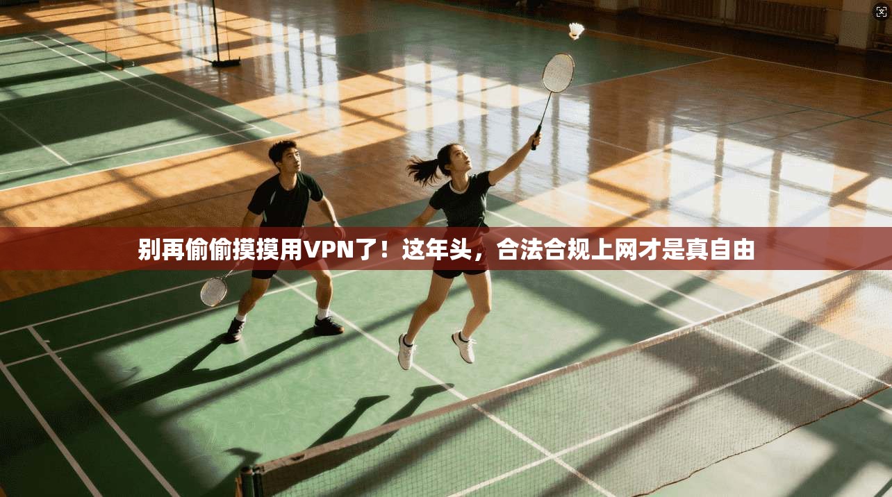 别再偷偷摸摸用VPN了！这年头，合法合规上网才是真自由
