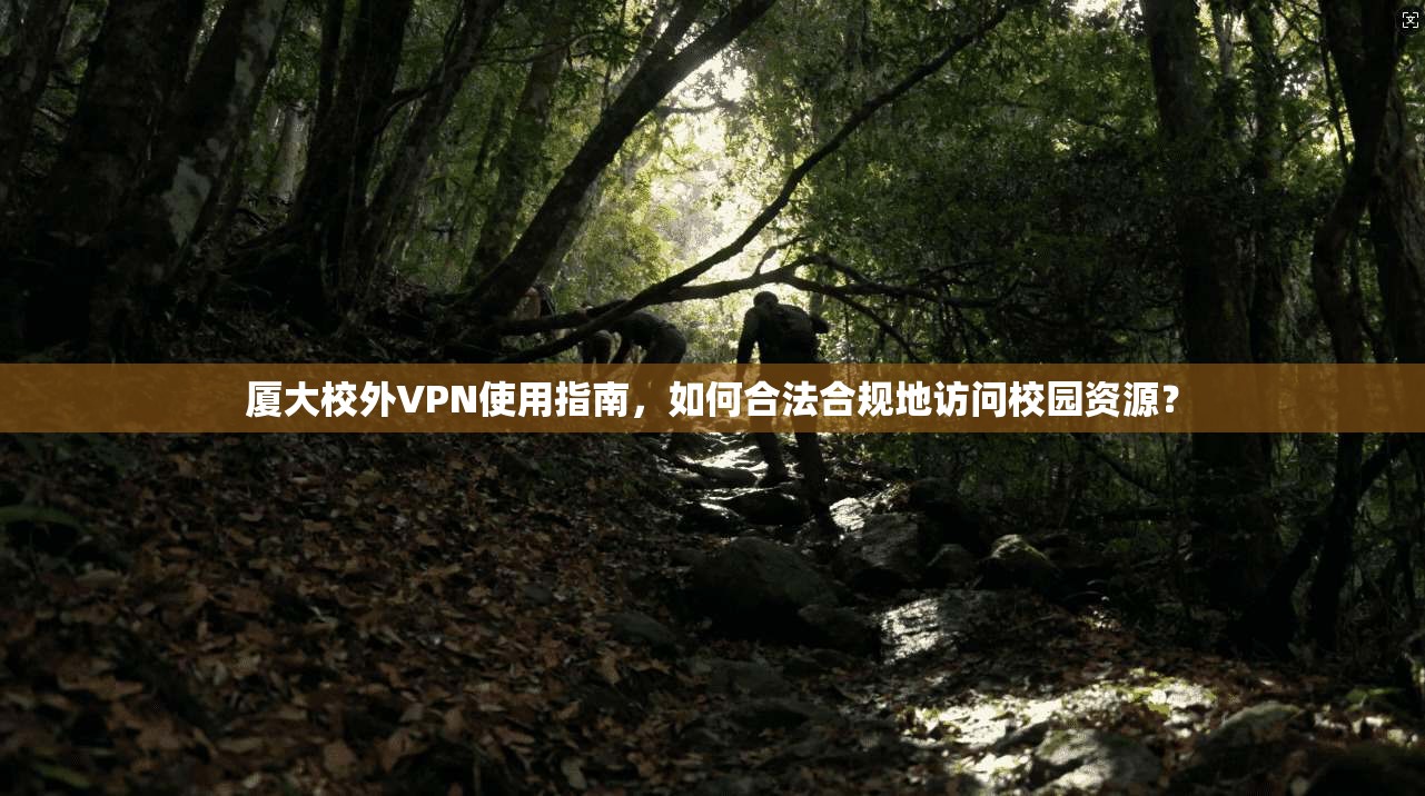 厦大校外VPN使用指南，如何合法合规地访问校园资源？