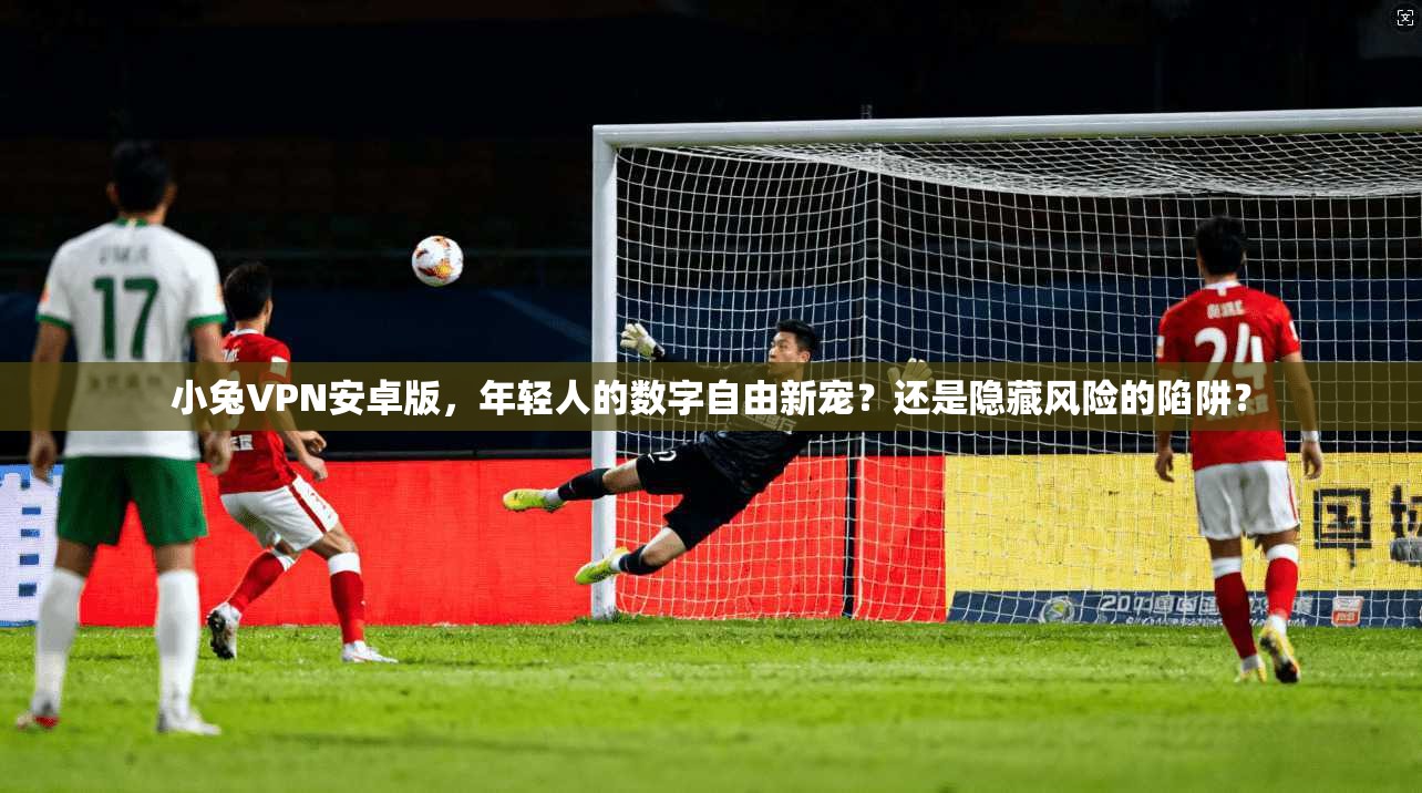 小兔VPN安卓版,年轻人的数字自由新宠?还是隐藏风险的陷阱?