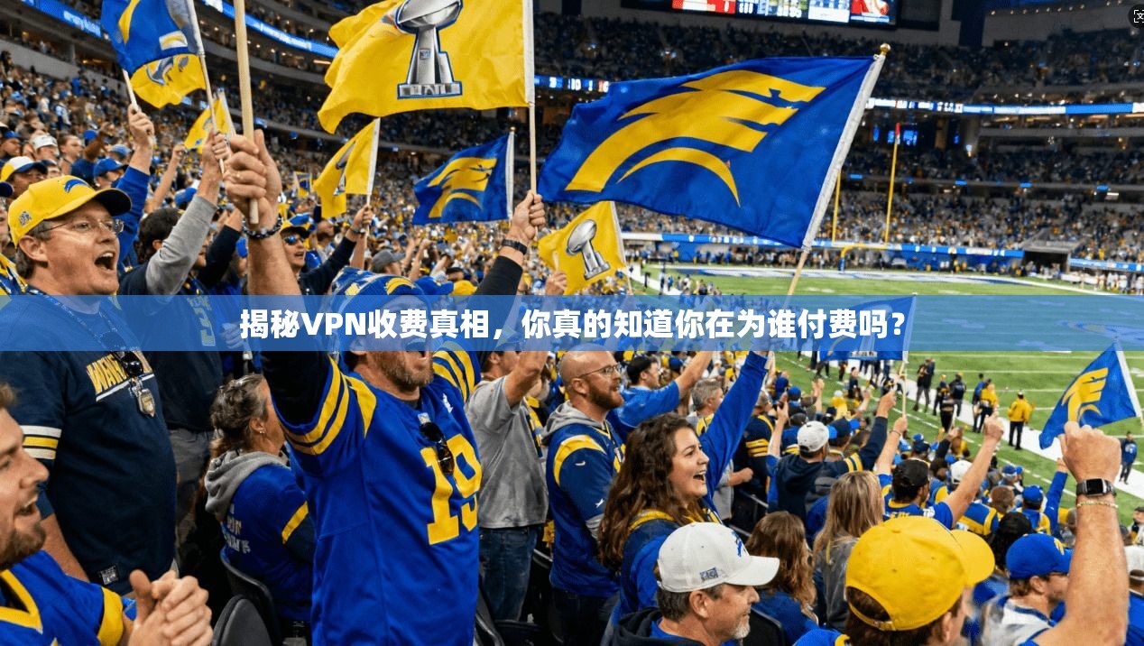 揭秘VPN收费真相，你真的知道你在为谁付费吗？