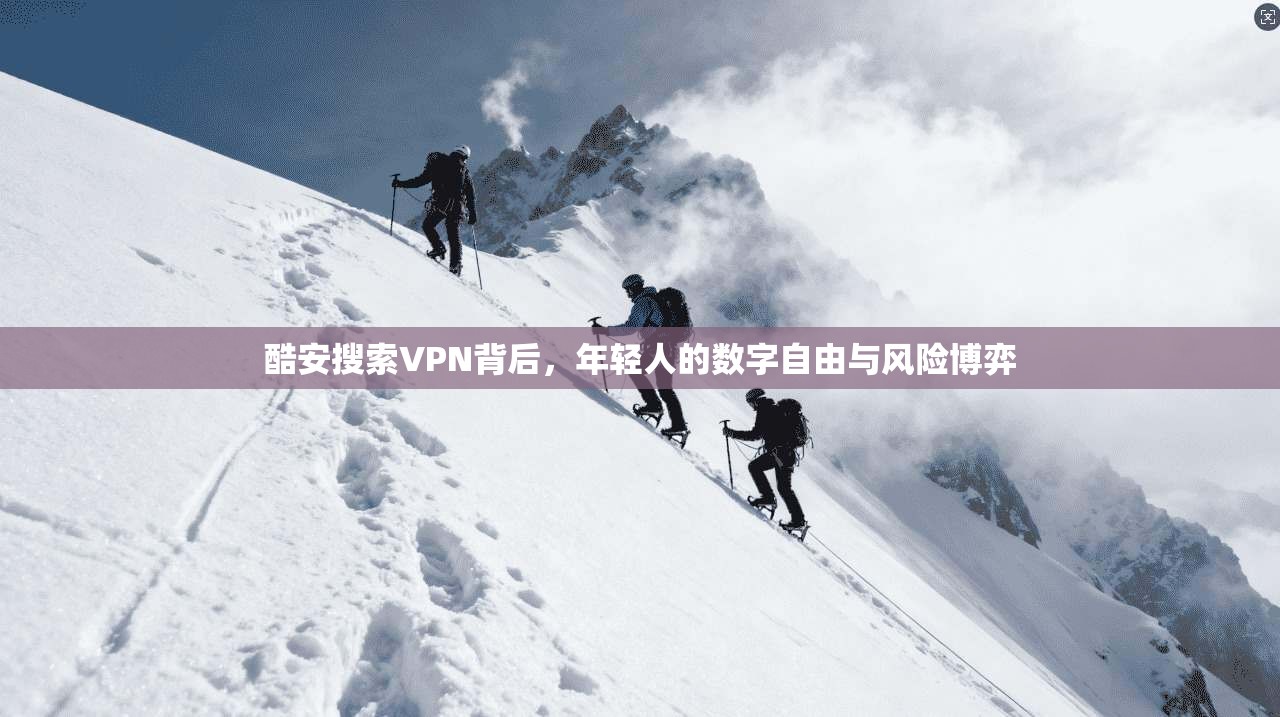 酷安搜索VPN背后,年轻人的数字自由与风险博弈