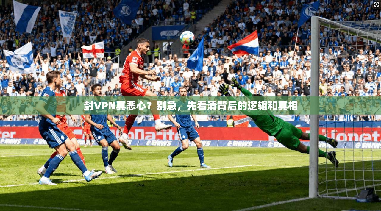 封VPN真恶心?别急,先看清背后的逻辑和真相