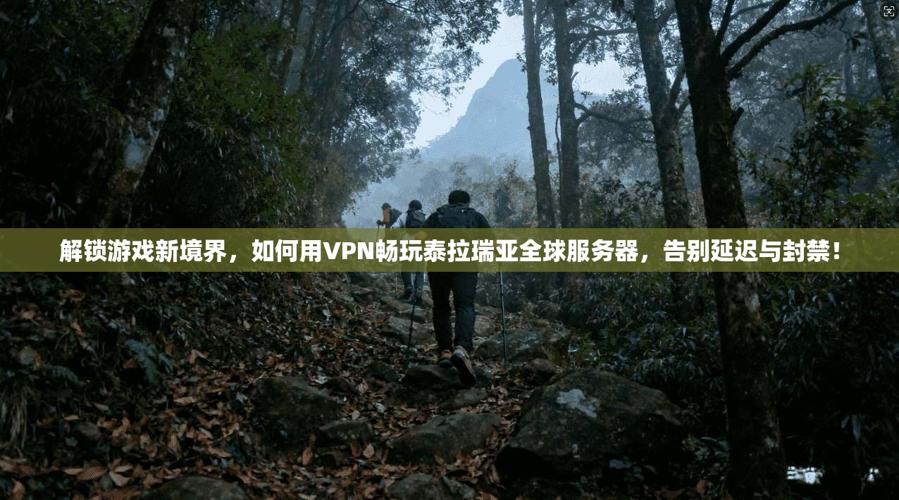 解锁游戏新境界，如何用VPN畅玩泰拉瑞亚全球服务器，告别延迟与封禁！