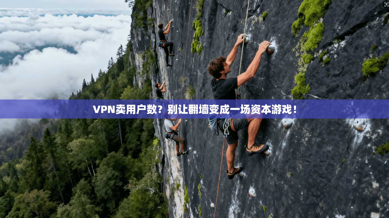 VPN卖用户数?别让翻墙变成一场资本游戏!