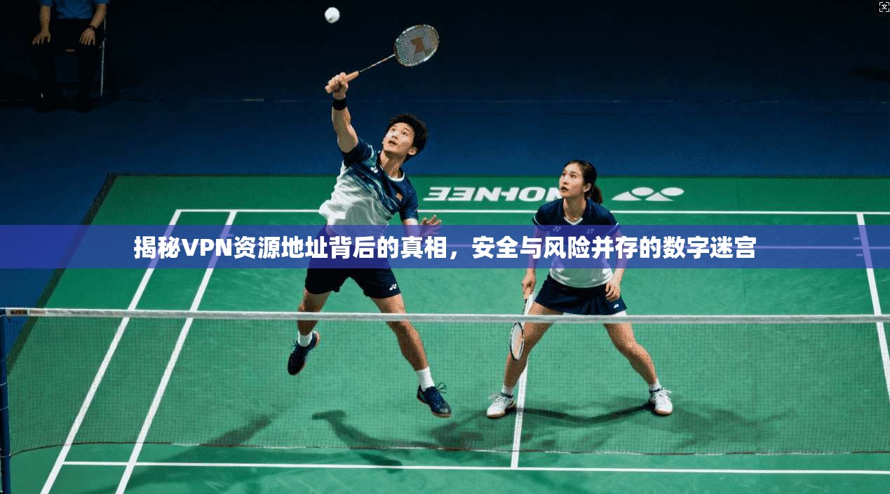 揭秘VPN资源地址背后的真相,安全与风险并存的数字迷宫