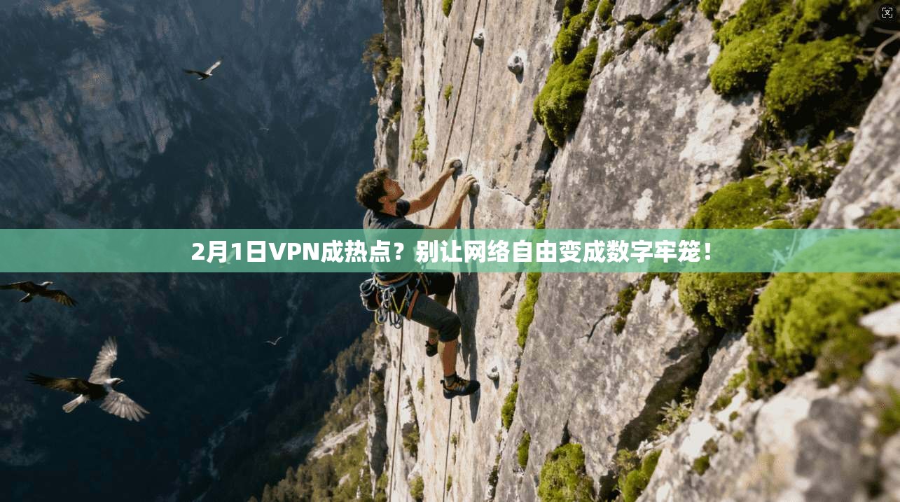 2月1日VPN成热点？别让网络自由变成数字牢笼！