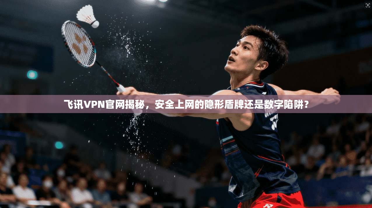 飞讯VPN官网揭秘,安全上网的隐形盾牌还是数字陷阱?