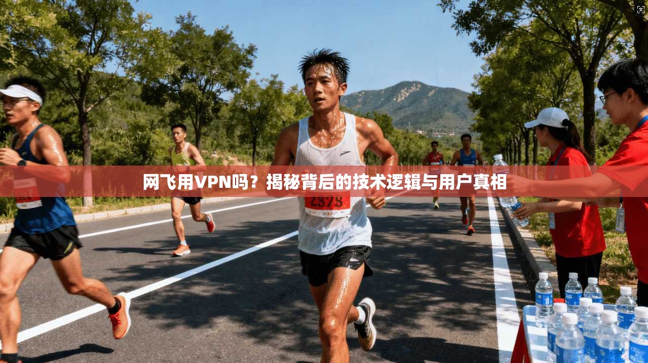 网飞用VPN吗？揭秘背后的技术逻辑与用户真相
