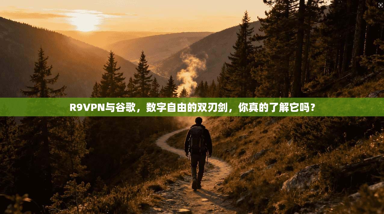 R9VPN与谷歌,数字自由的双刃剑,你真的了解它吗?