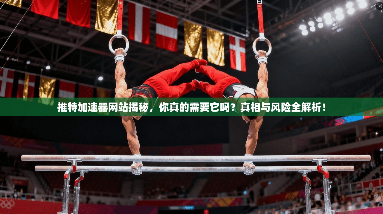 推特加速器网站揭秘,你真的需要它吗?真相与风险全解析!