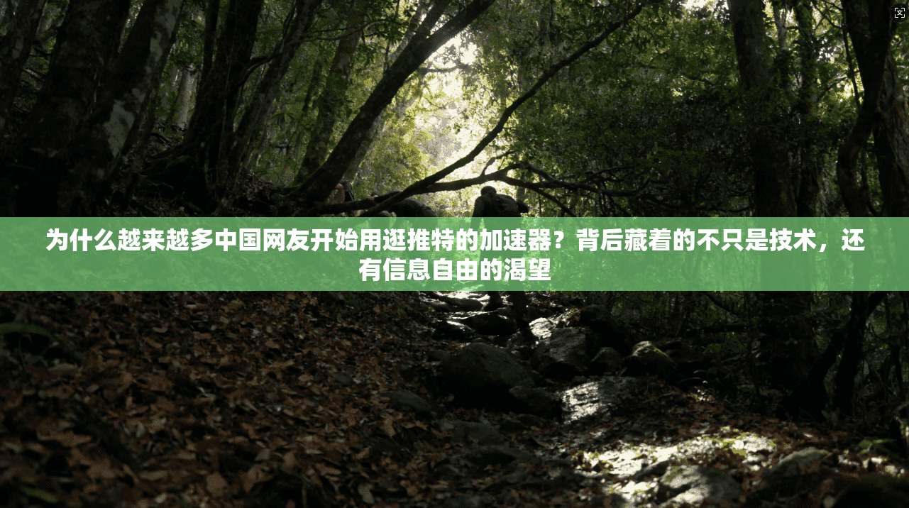 为什么越来越多中国网友开始用逛推特的加速器?背后藏着的不只是技术,还有信息自由的渴望