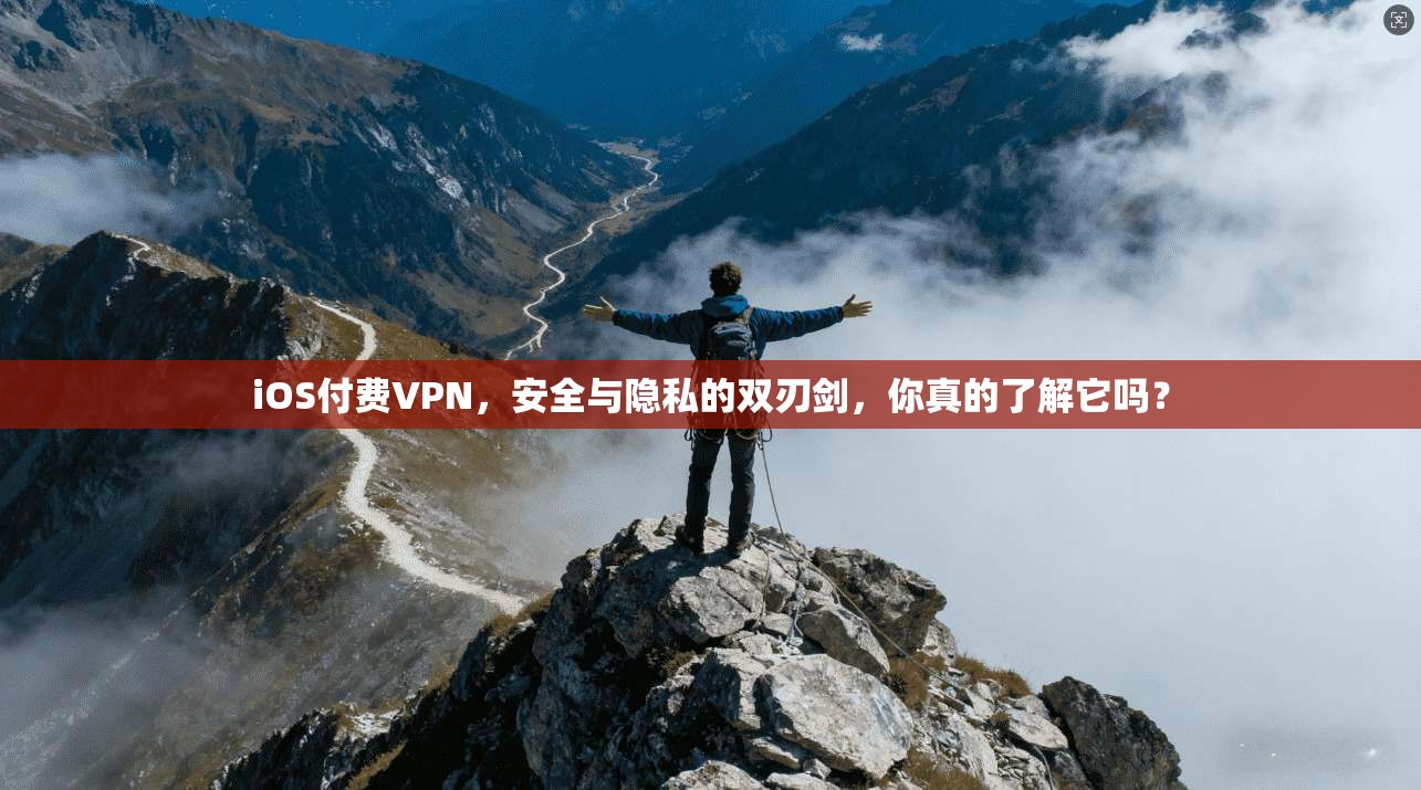 iOS付费VPN,安全与隐私的双刃剑,你真的了解它吗?