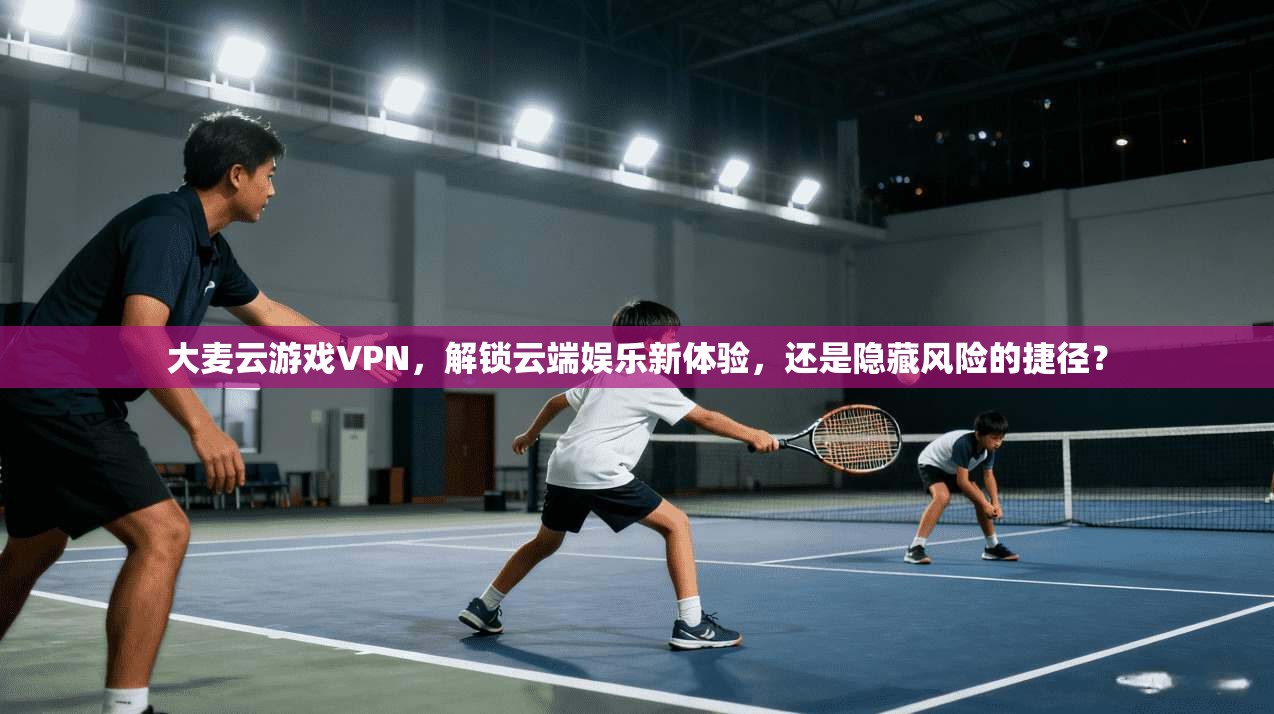 大麦云游戏VPN，解锁云端娱乐新体验，还是隐藏风险的捷径？