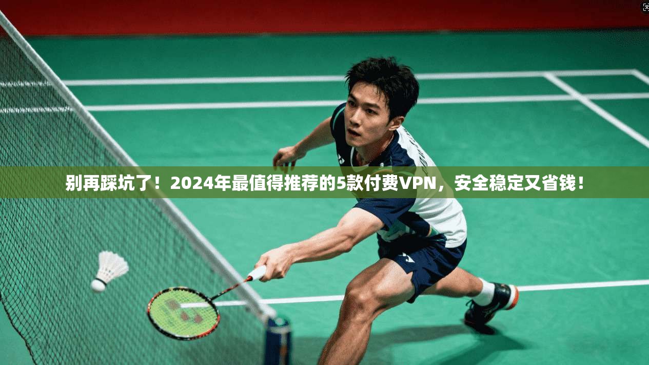 别再踩坑了!2024年最值得推荐的5款付费VPN,安全稳定又省钱! 别再踩坑了!2024年最值得推荐的5款付费VPN,安全稳定又省钱!