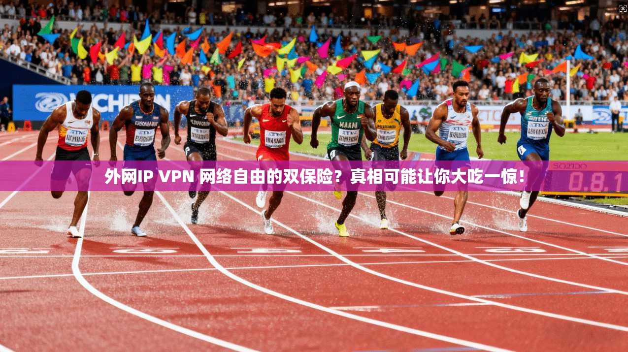 外网IP VPN 网络自由的双保险？真相可能让你大吃一惊！