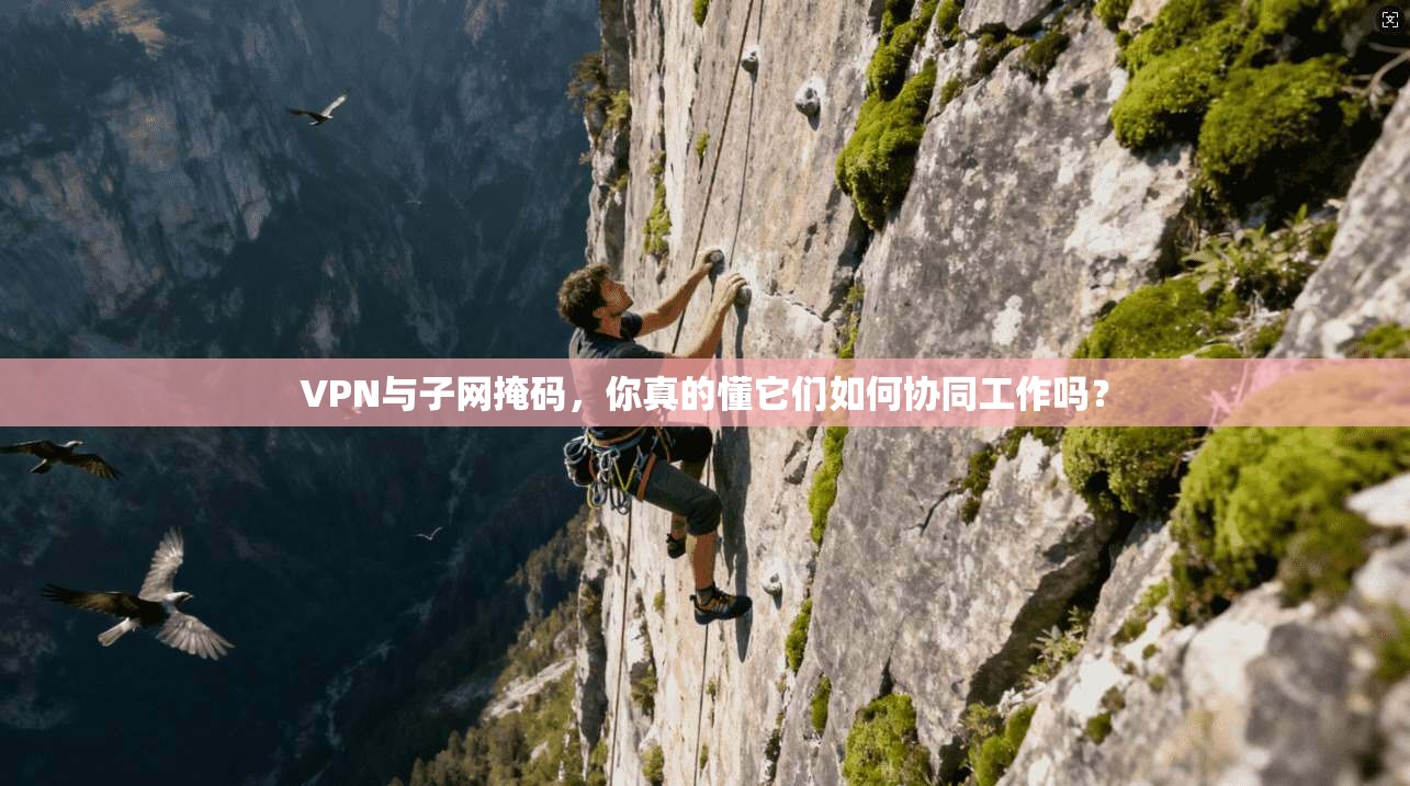 VPN与子网掩码,你真的懂它们如何协同工作吗? VPN与子网掩码,你真的懂它们如何协同工作吗?