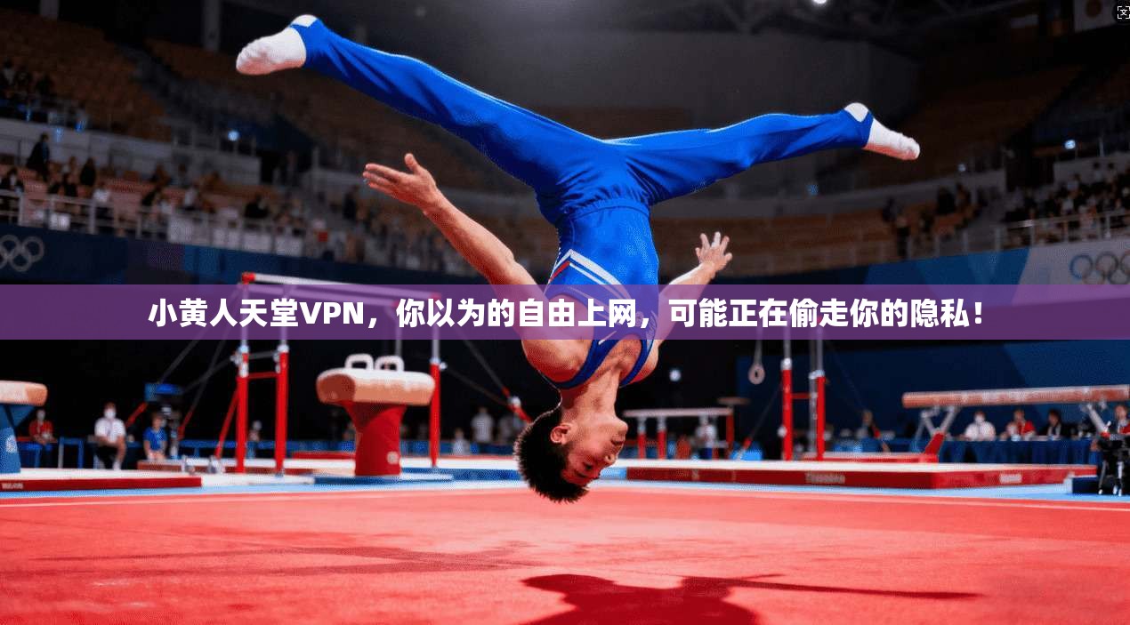 小黄人天堂VPN，你以为的自由上网，可能正在偷走你的隐私！